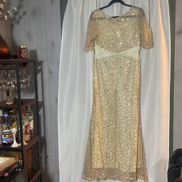 New with tags cream evening gown with champagne gold sequined overlay lace. - Picture 6 of 13
